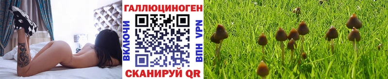 Купить Судак Псилоцибиновые грибы ЛСД